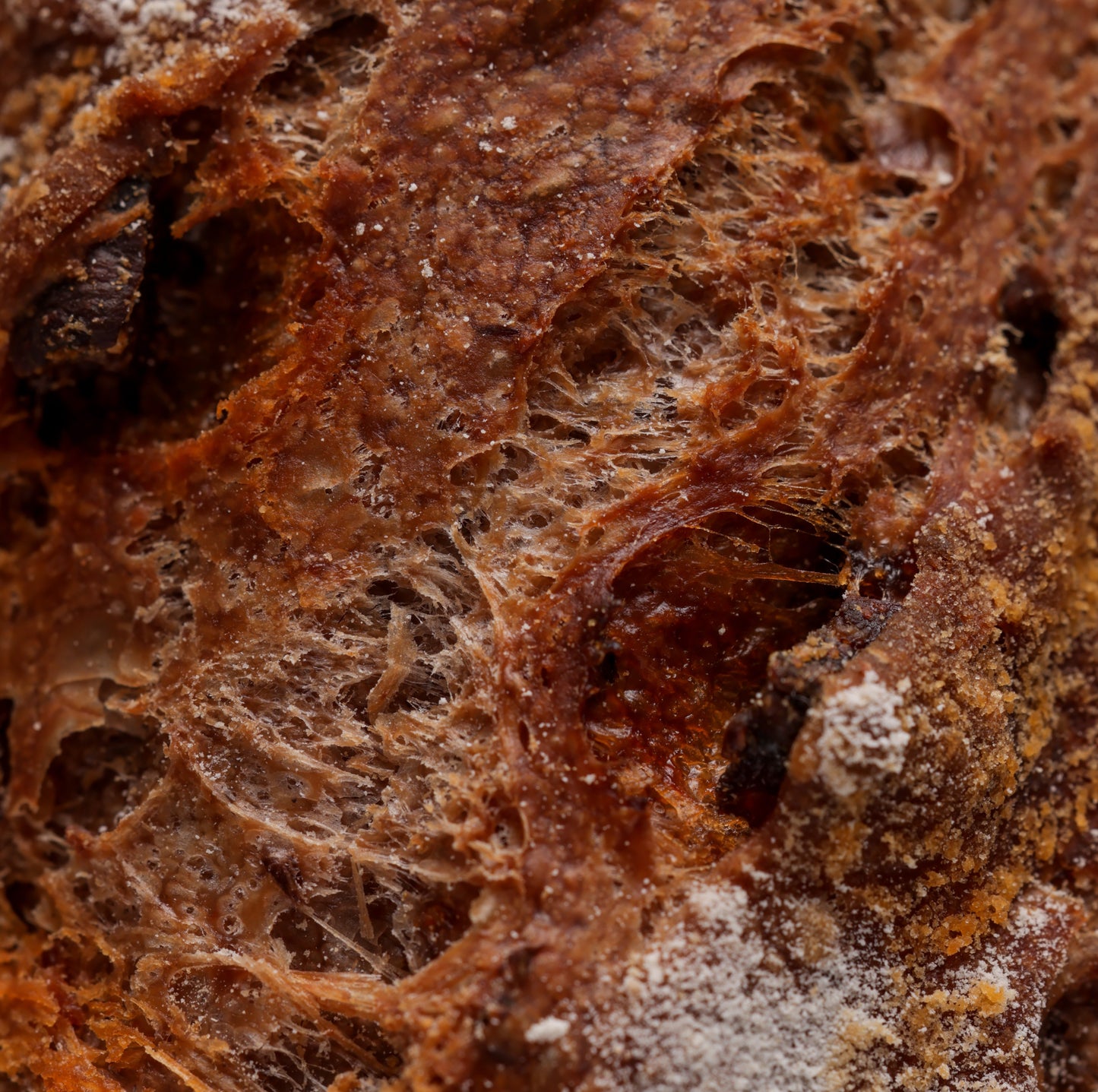 Baguette au vin rouge et au chorizo