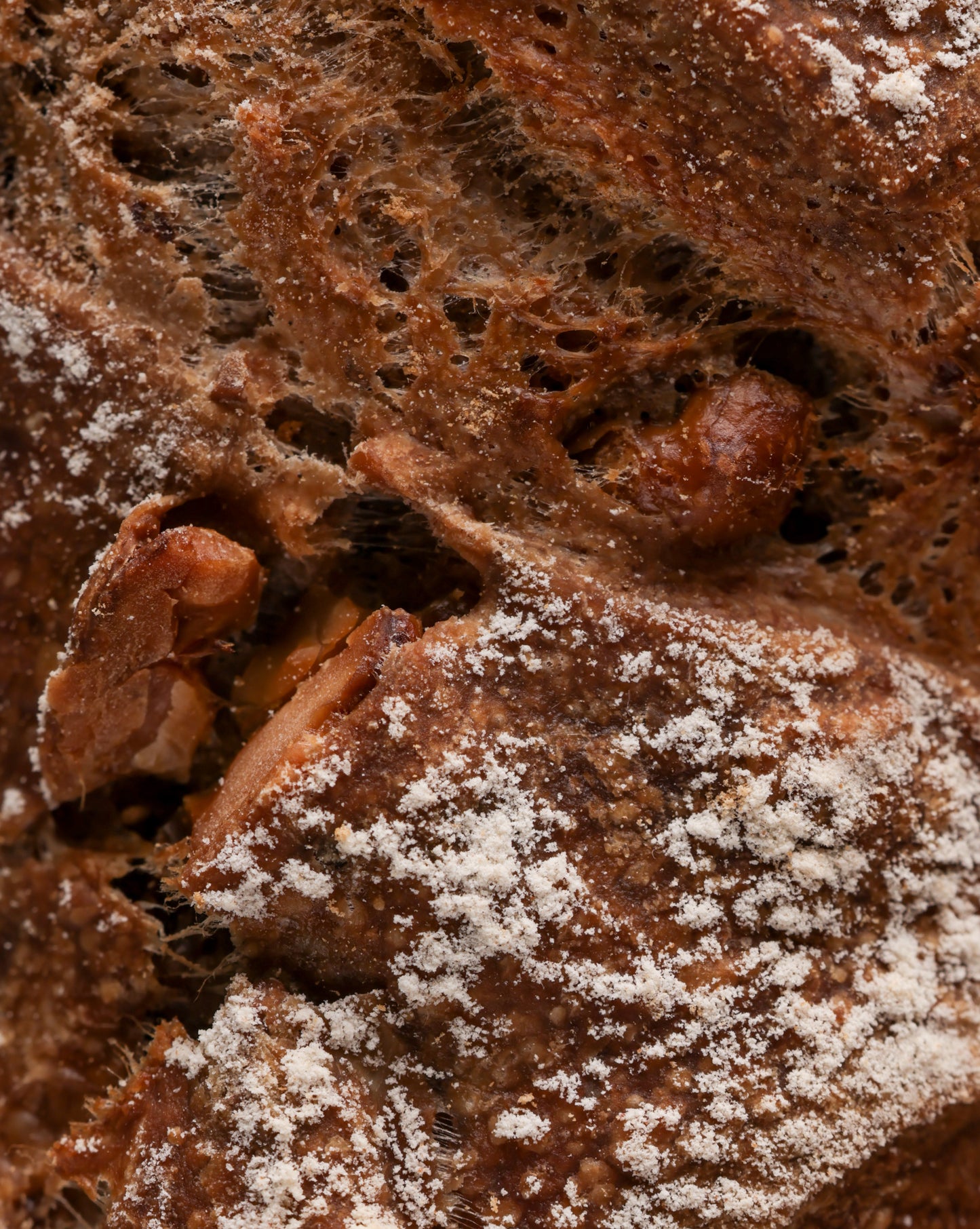 Baguette au seigle et aux noix