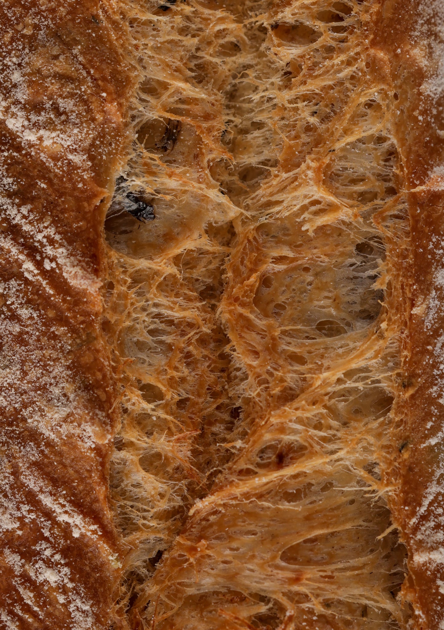 Baguette Méditerranéene