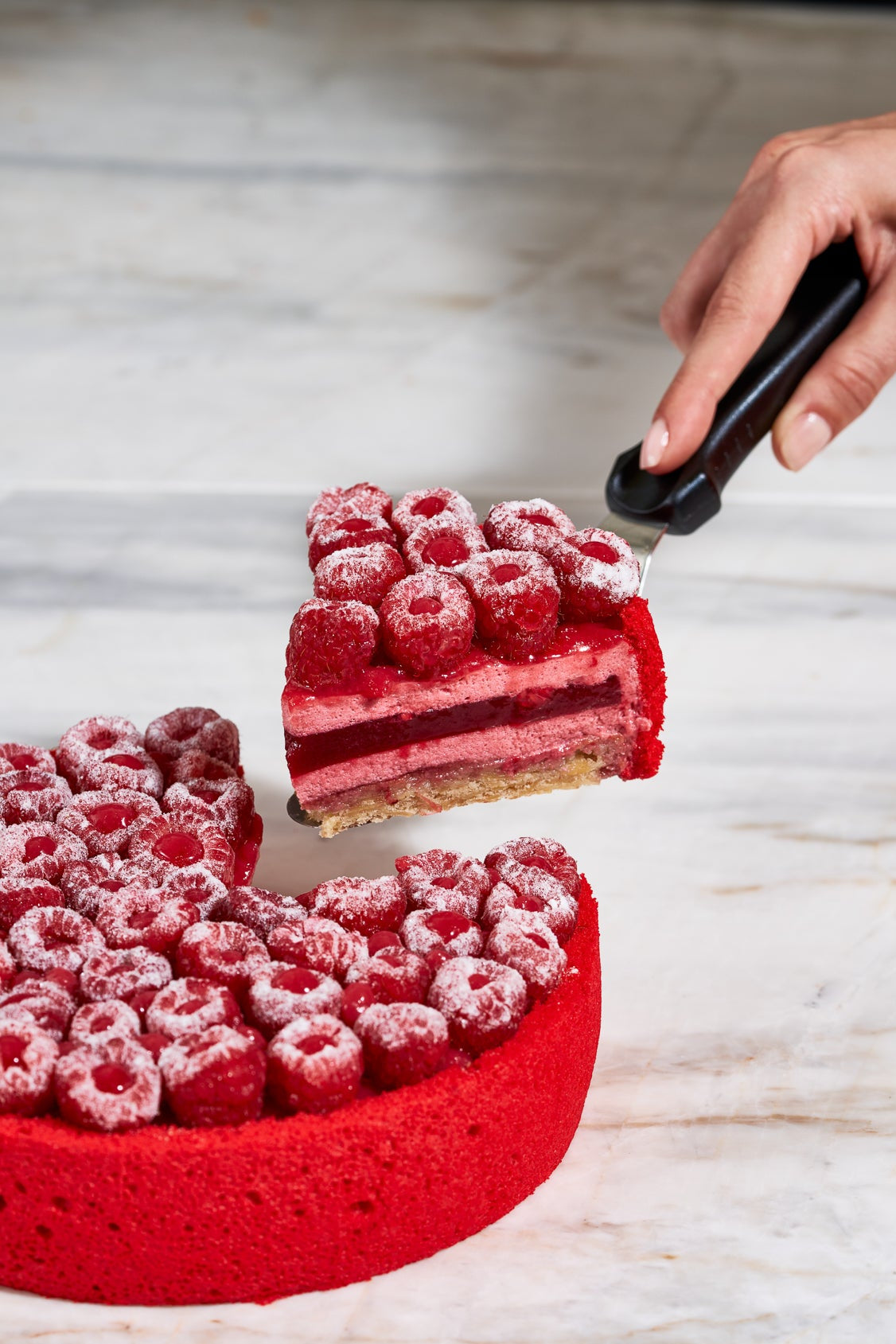 Tort Charlotte aux framboises