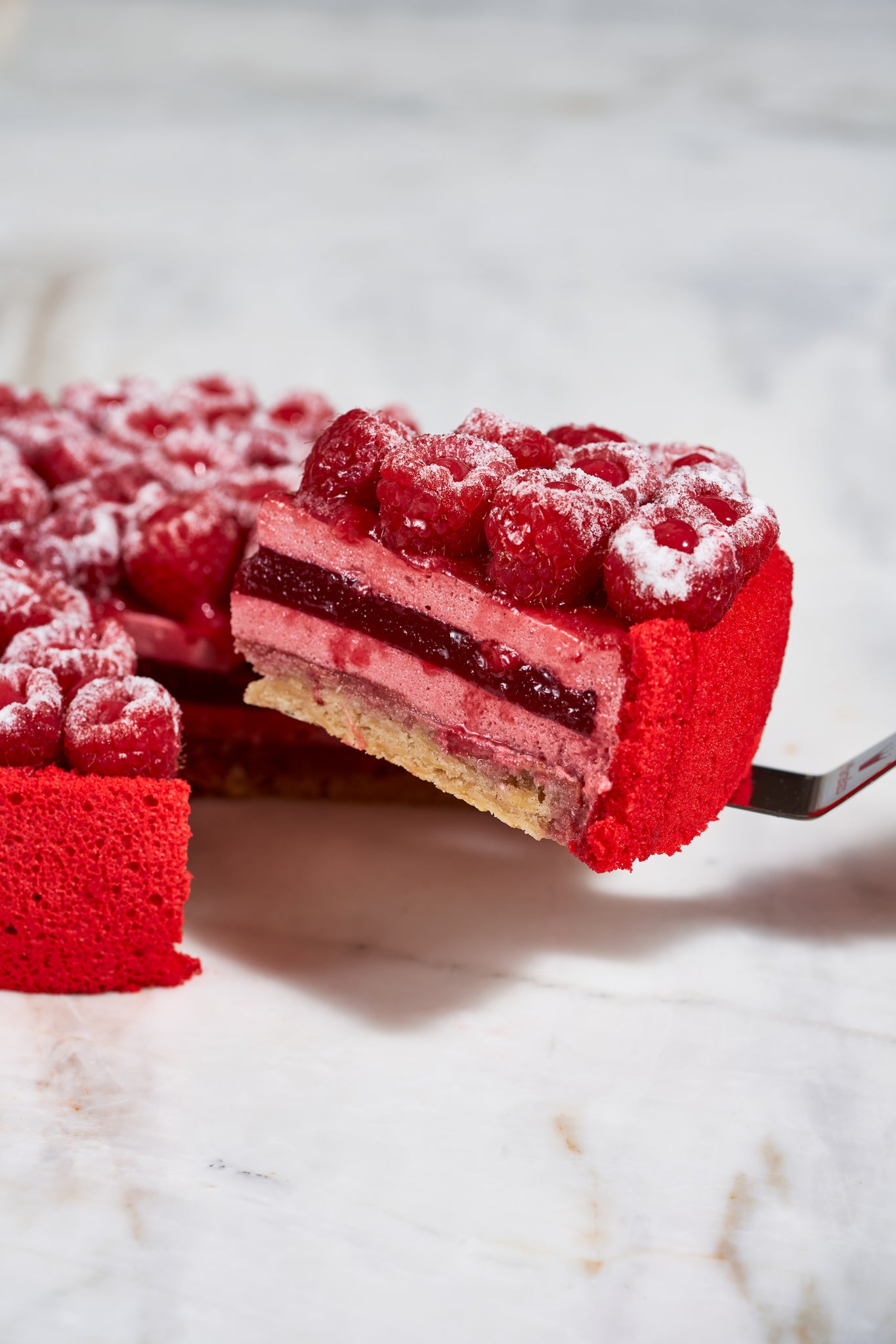 Tort Charlotte aux framboises