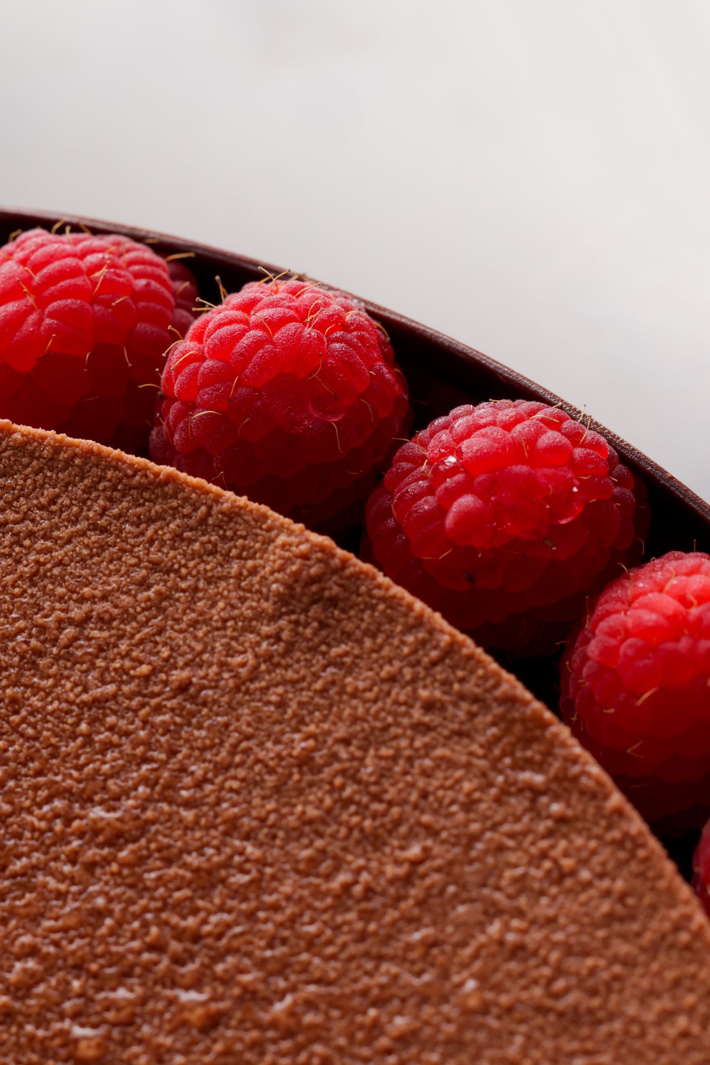 Tort Croustillant Chocolat et Framboise